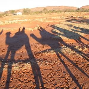 Meet your Posher, Regina